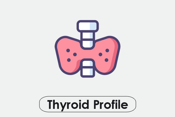 thyroid test in borivali